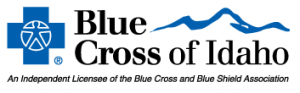 Bcbsid Logo